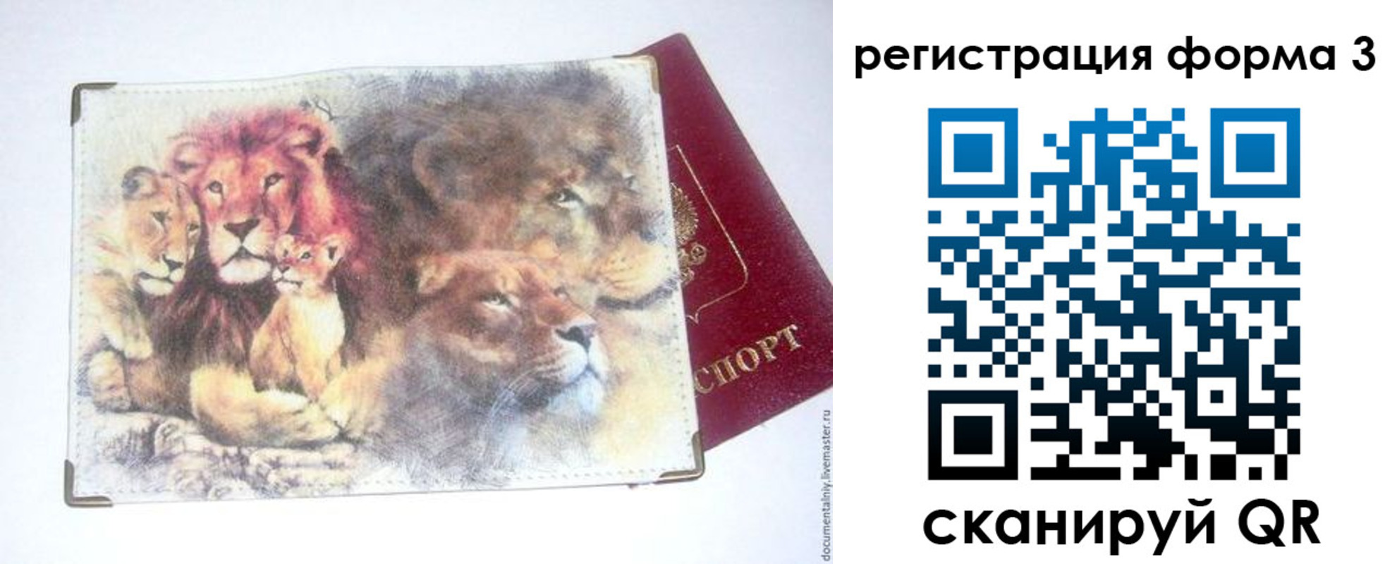 прописка в квартире в Сасово